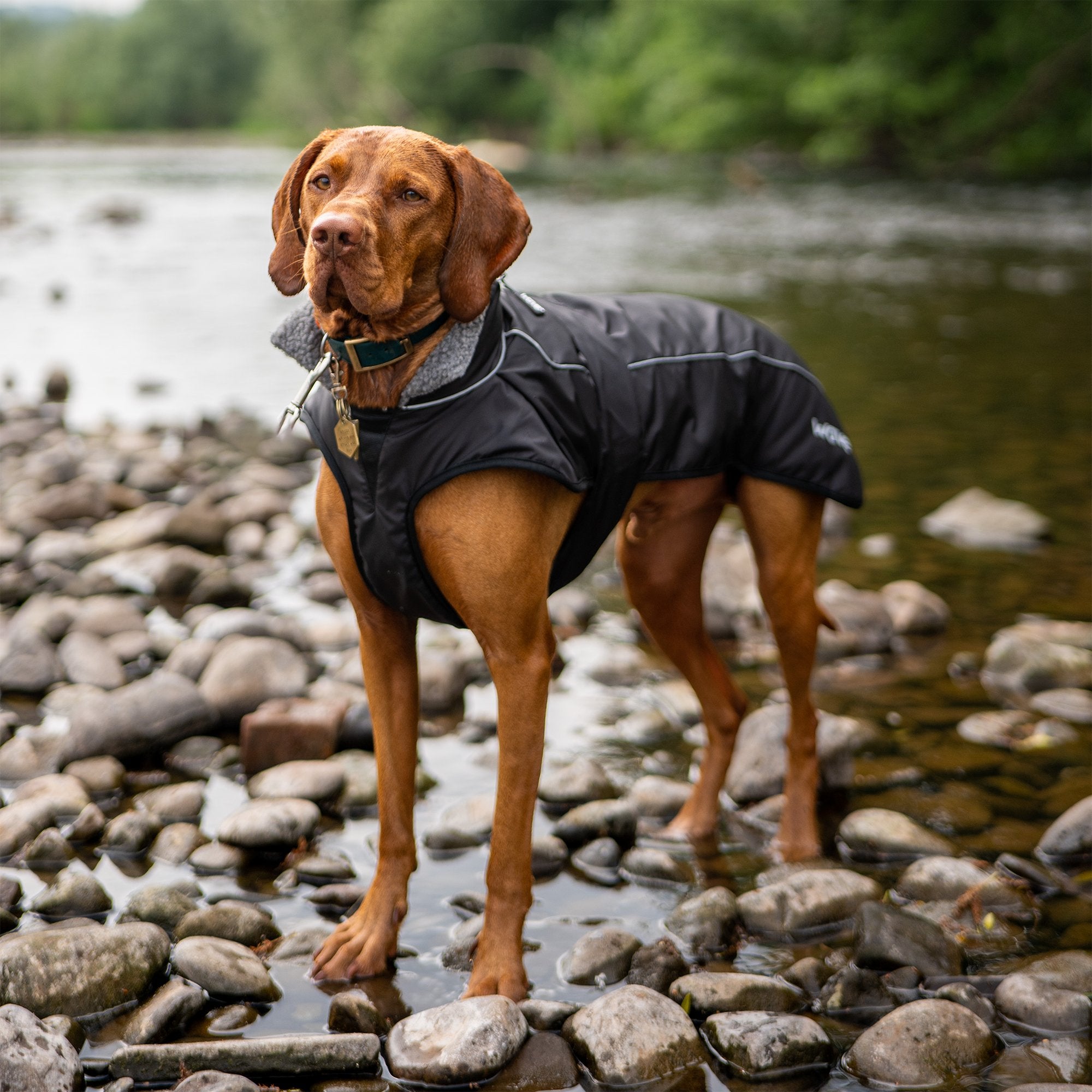 Fleece-Lined Waterproof Dog Robe Wave Sups