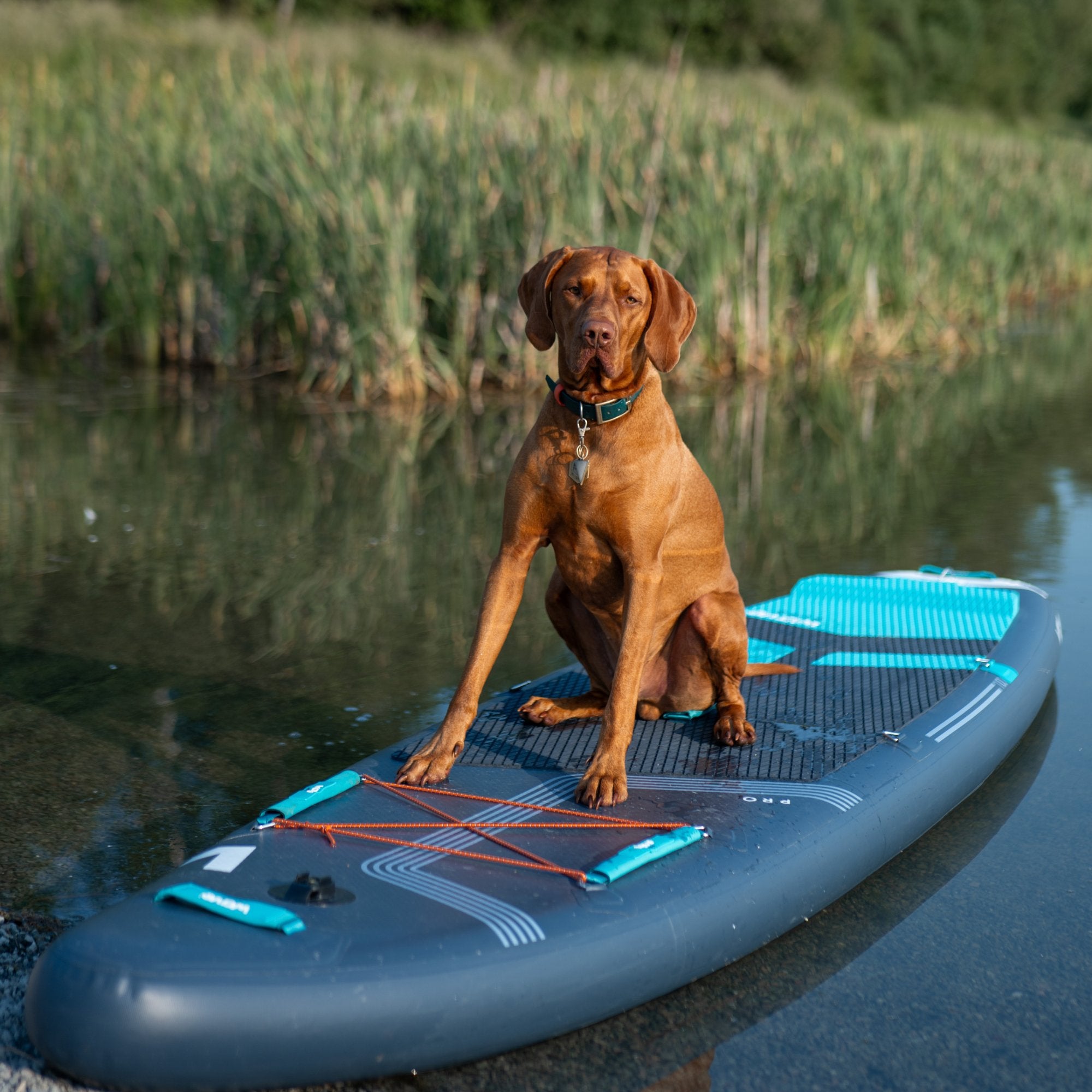 Pro SUP | Inflatable Stand-Up Paddle Board | 10/11ft | Navy Inflatable Paddleboards Wave Sups   